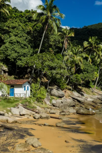 Descubra como marcas de moda criam comunidades autênticas que fortalecem propósito, engajamento e fidelidade do consumidor.